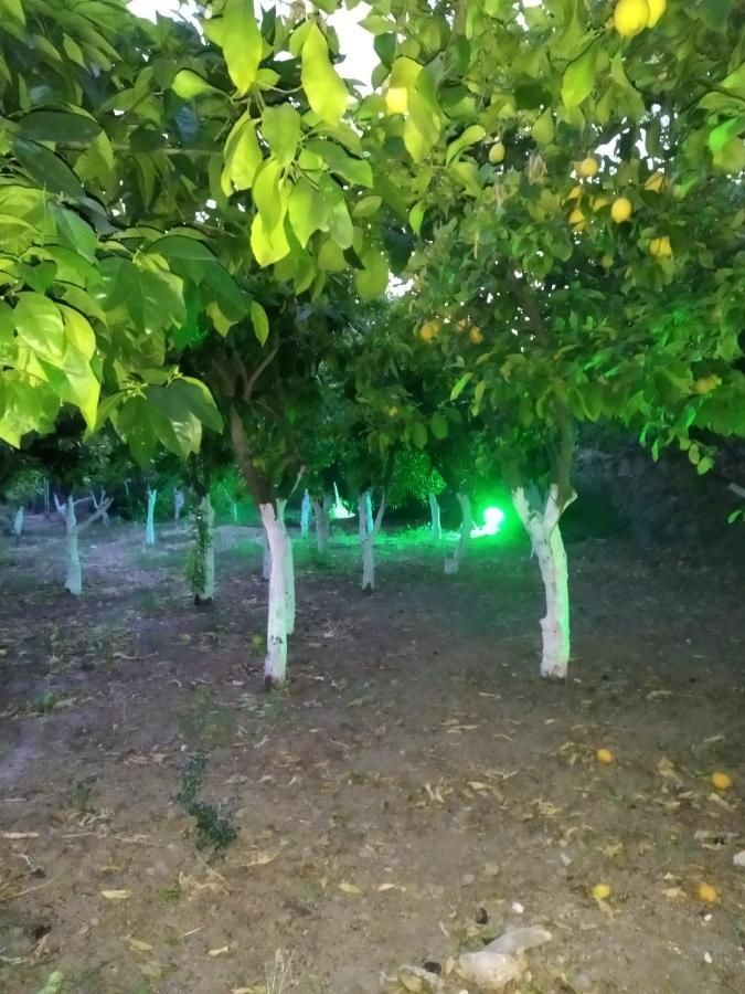 فيلا Περιβόλι Του Οδυσσέα Volissos المظهر الخارجي الصورة