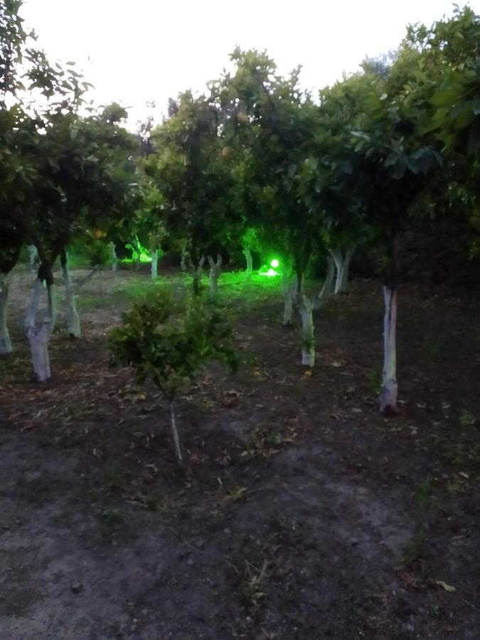 فيلا Περιβόλι Του Οδυσσέα Volissos المظهر الخارجي الصورة